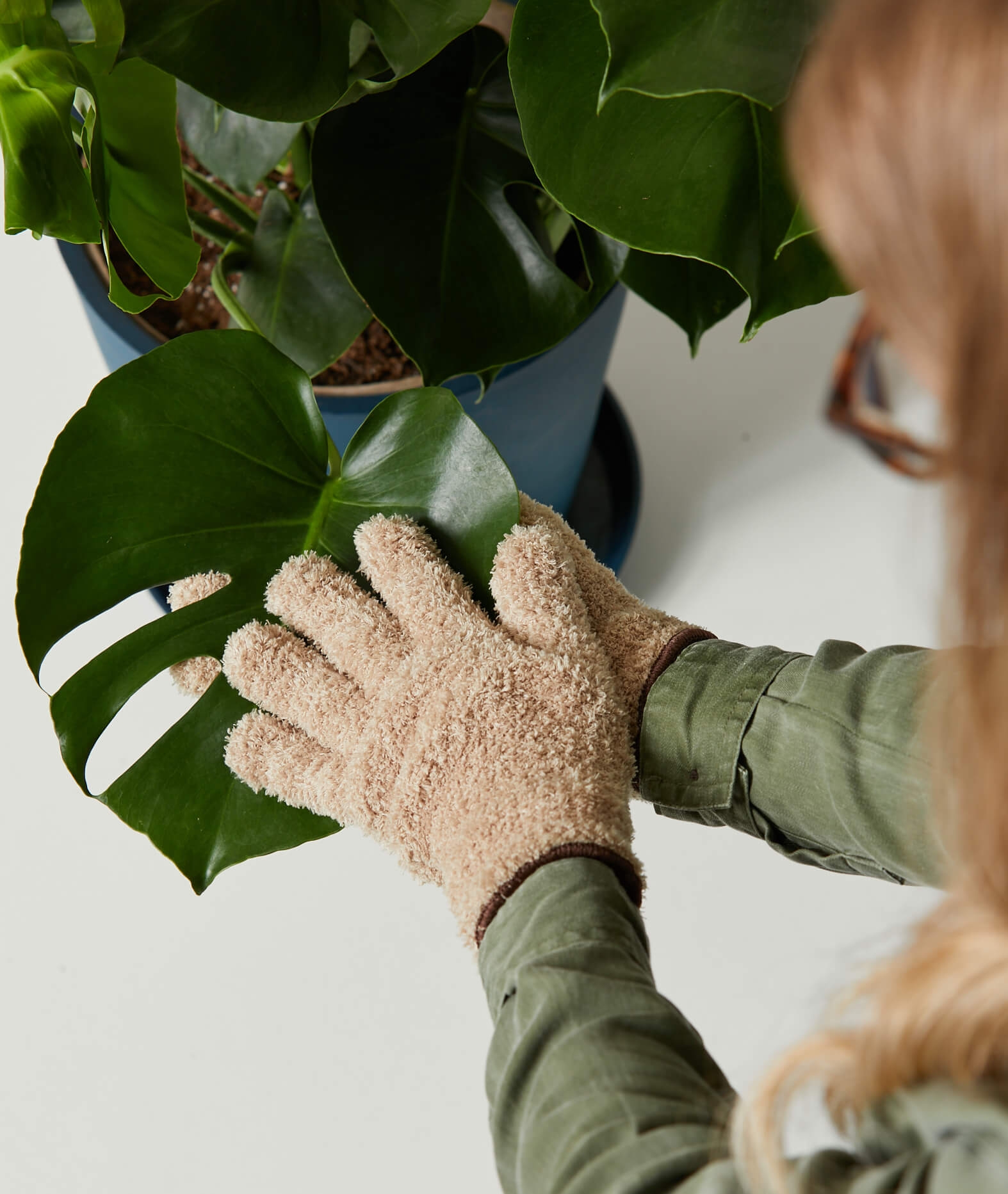 Monstera - Image 1
