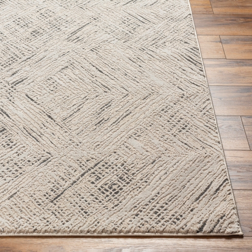 Alder Beige Indoor 7'7" x 10' Machine Woven Rug - Image 2