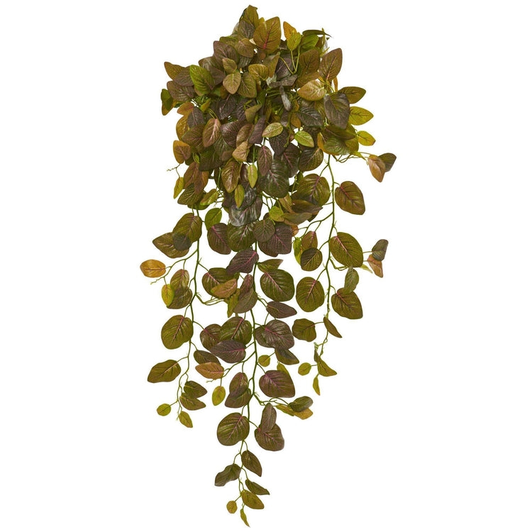36” Autumn Artificial Fittonia Hanging Bush Plant (Set of 2) - Image 0