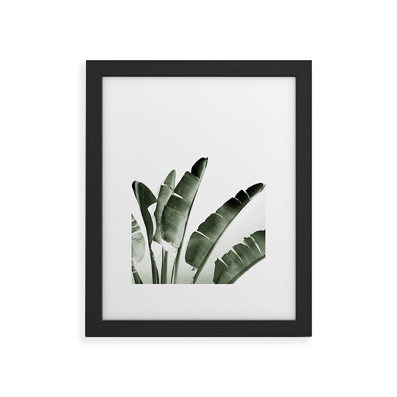 Traveler Palm by Gale Switzer - Modern Framed Art Print, White, 16" x 20" - Image 0