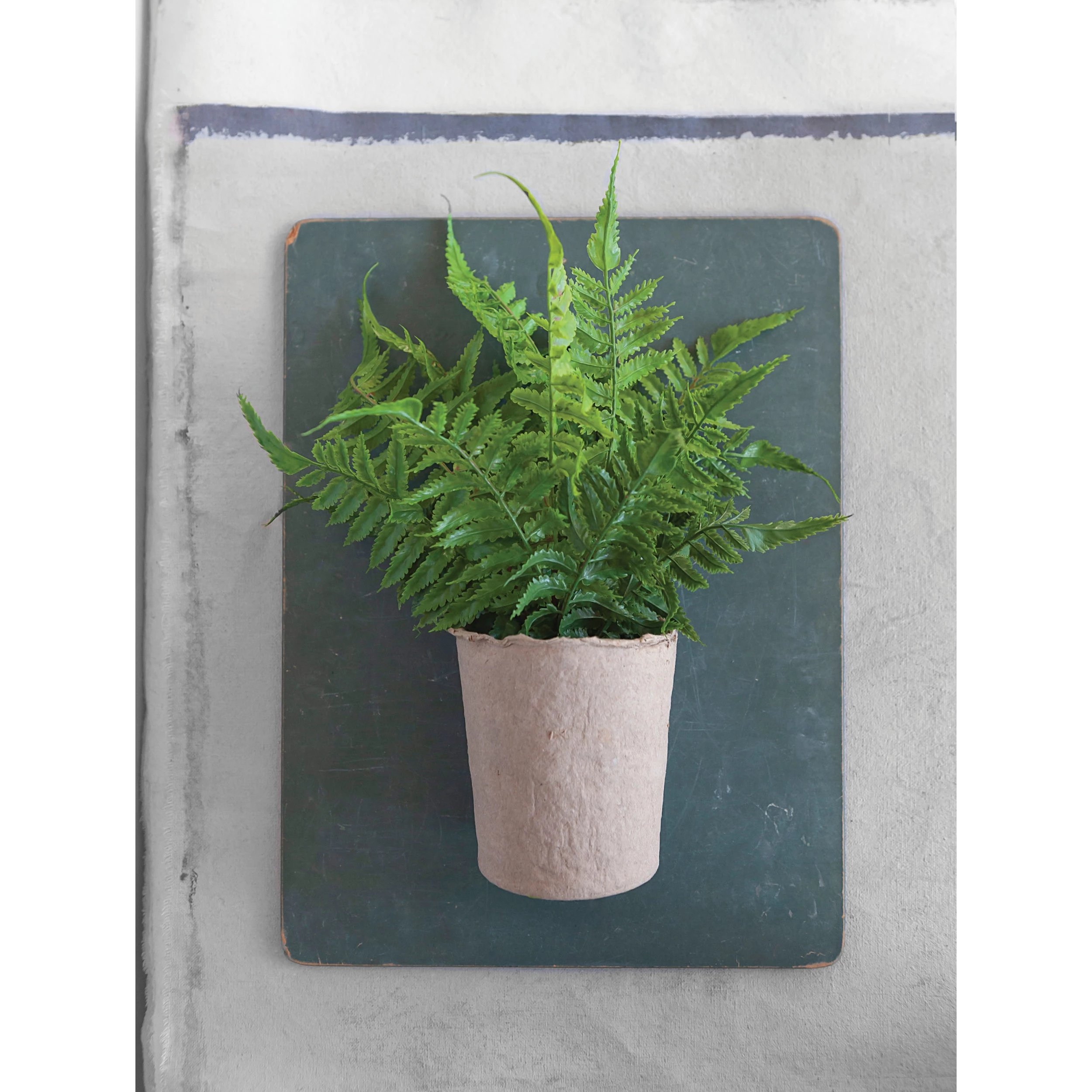 Faux Fern in Paper Pot - Image 1