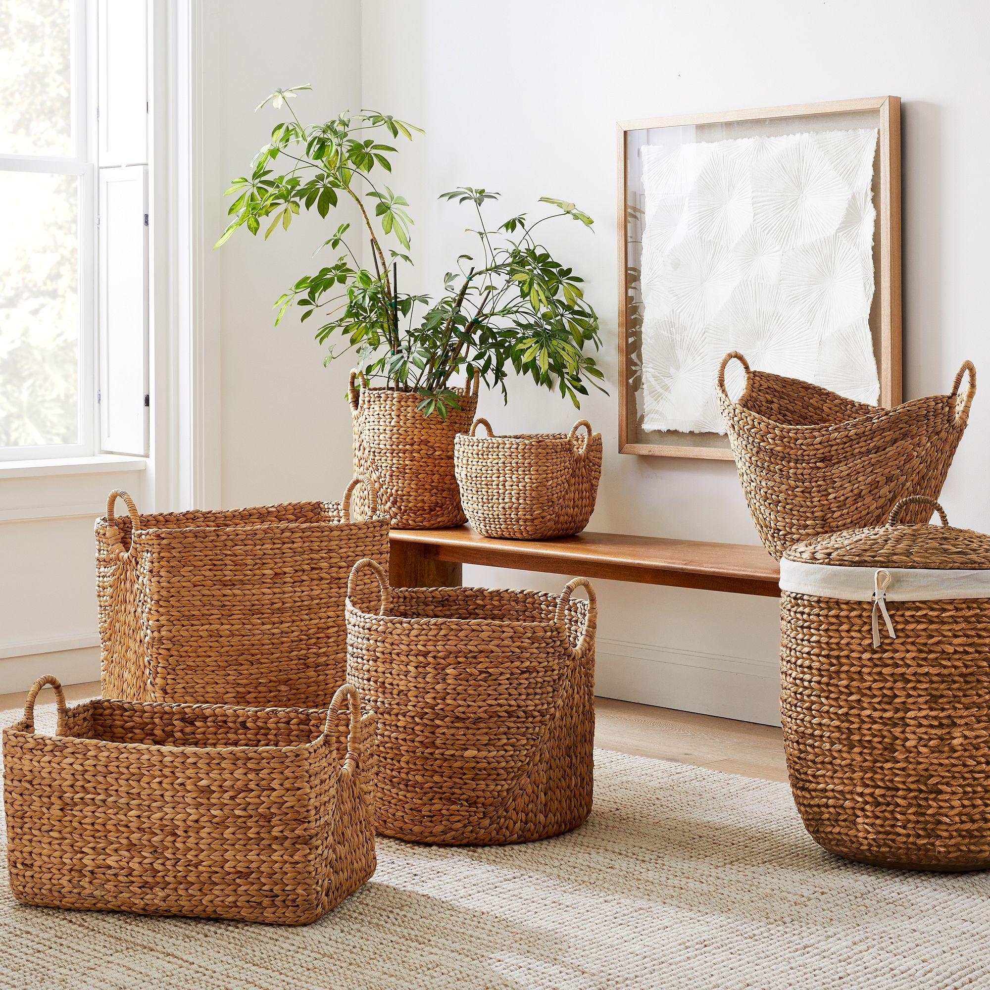 Curved Seagrass Basket, Handle Baskets, Natural, Large, 17.7"W x 21.6"D x 19.3"H - Image 1