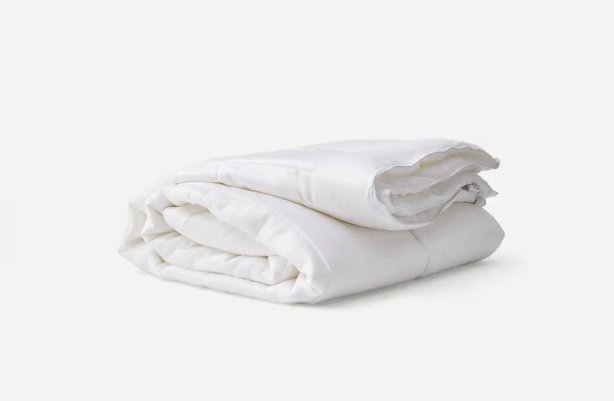 Eucalyptus Duvet Insert - Full/Queen / N/A - Image 0