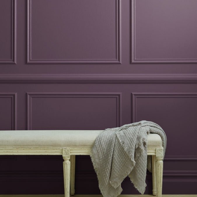 Night Groove Interior Paint - Swatch - Image 0