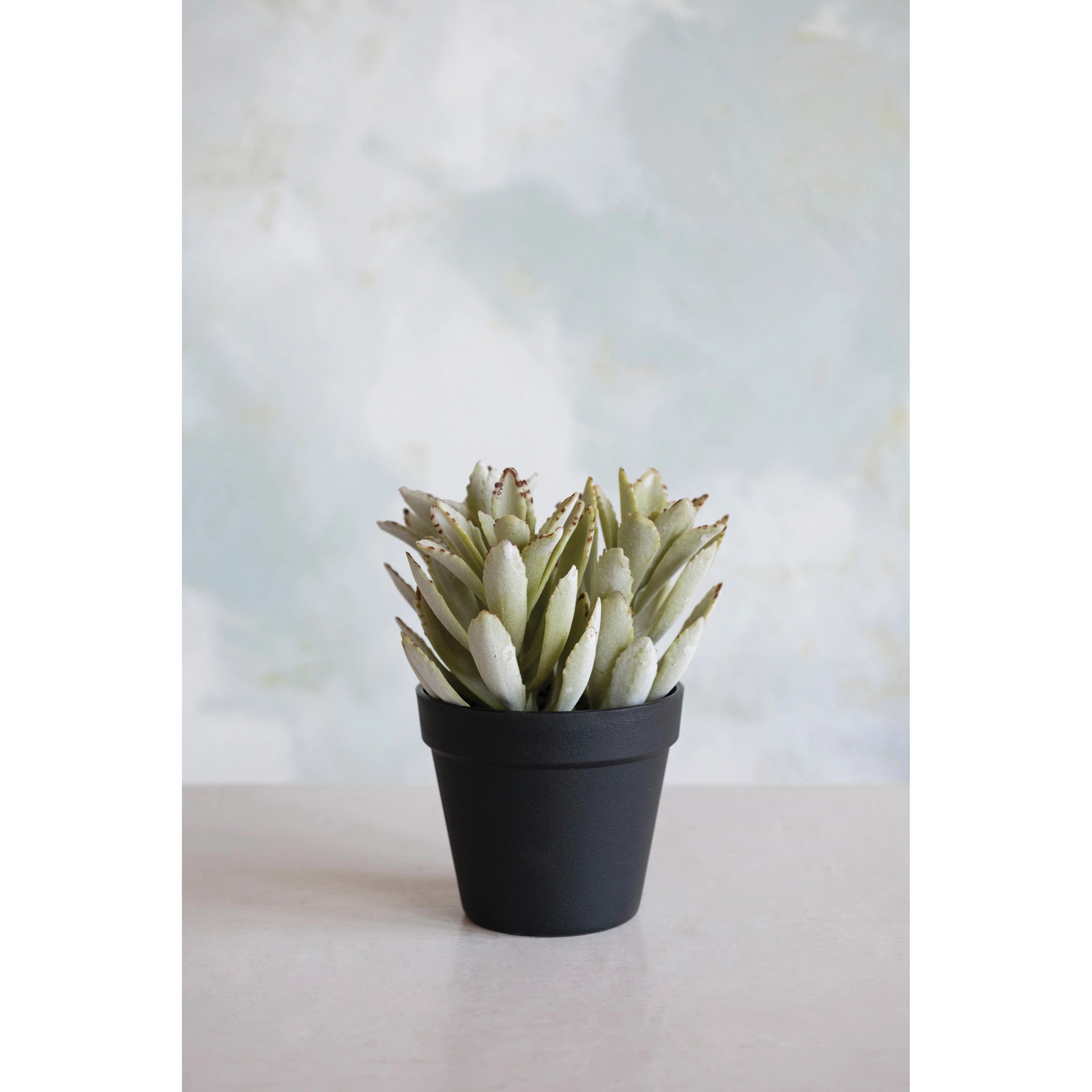 Faux Succulent in Pot - Image 1