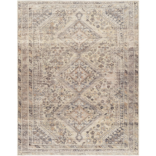 Amelie Beige Indoor 8'10" x 12' Machine Woven Rug - Image 1