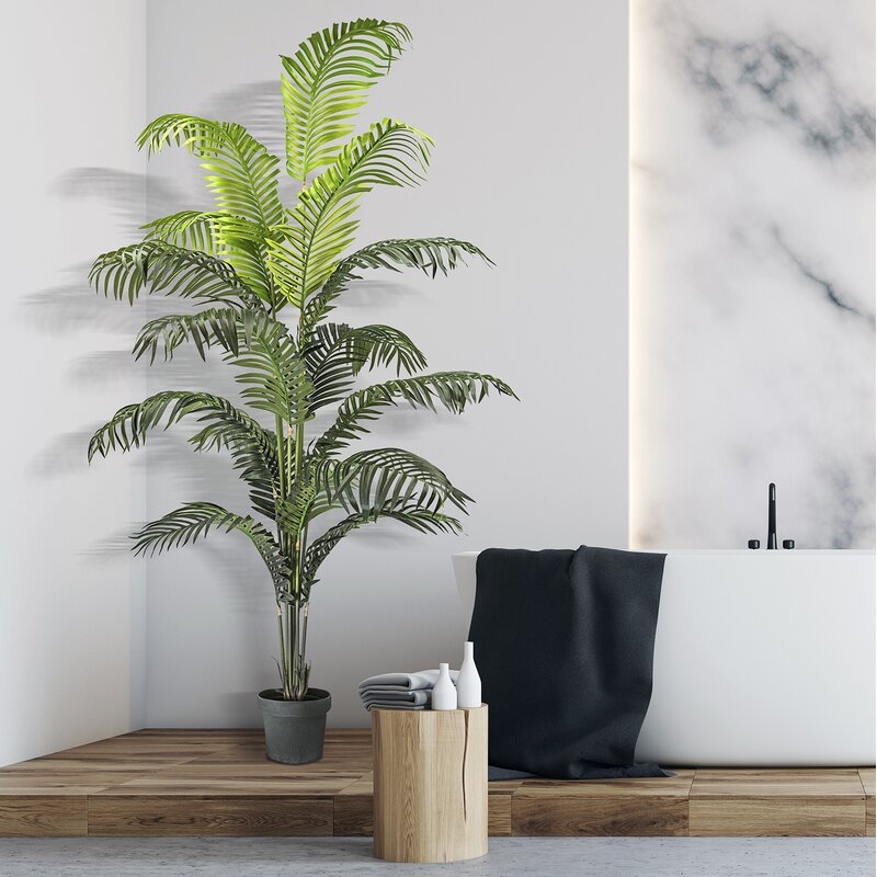 Palm Tree in Pot - Image 3