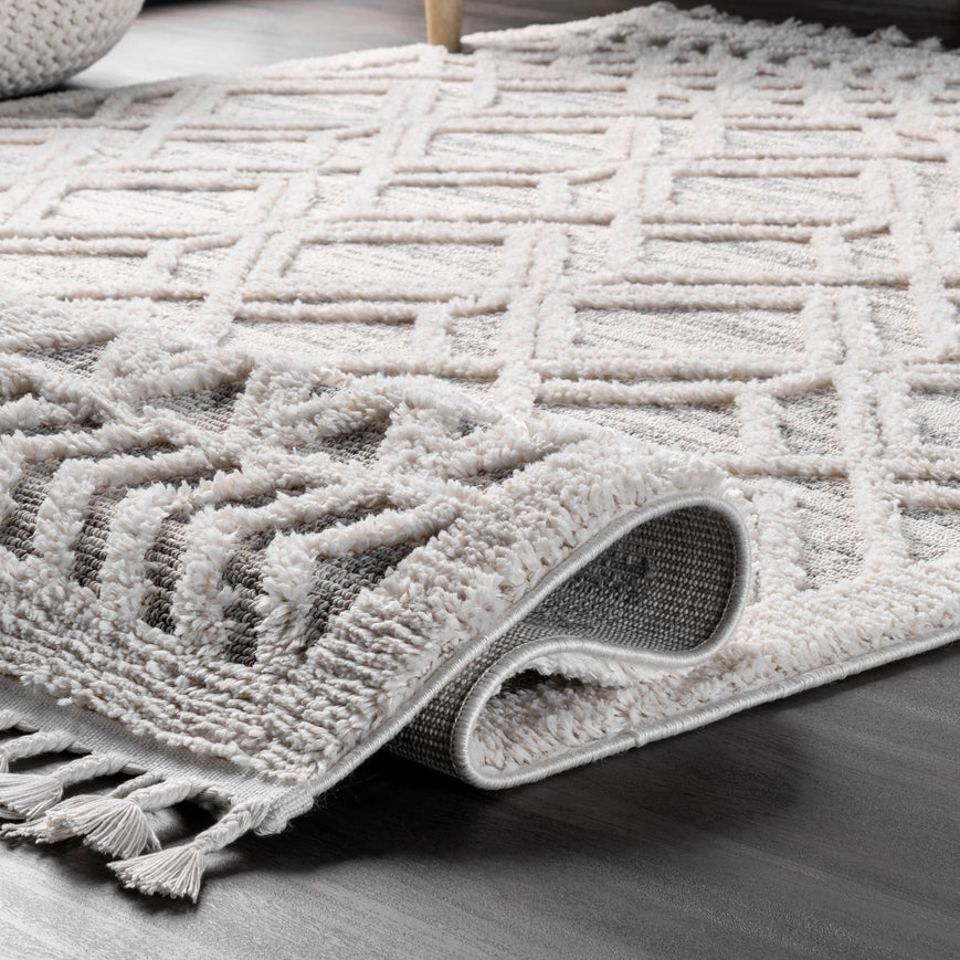 Ansley Shaggy Lattice Tassel Area Rug - Image 2