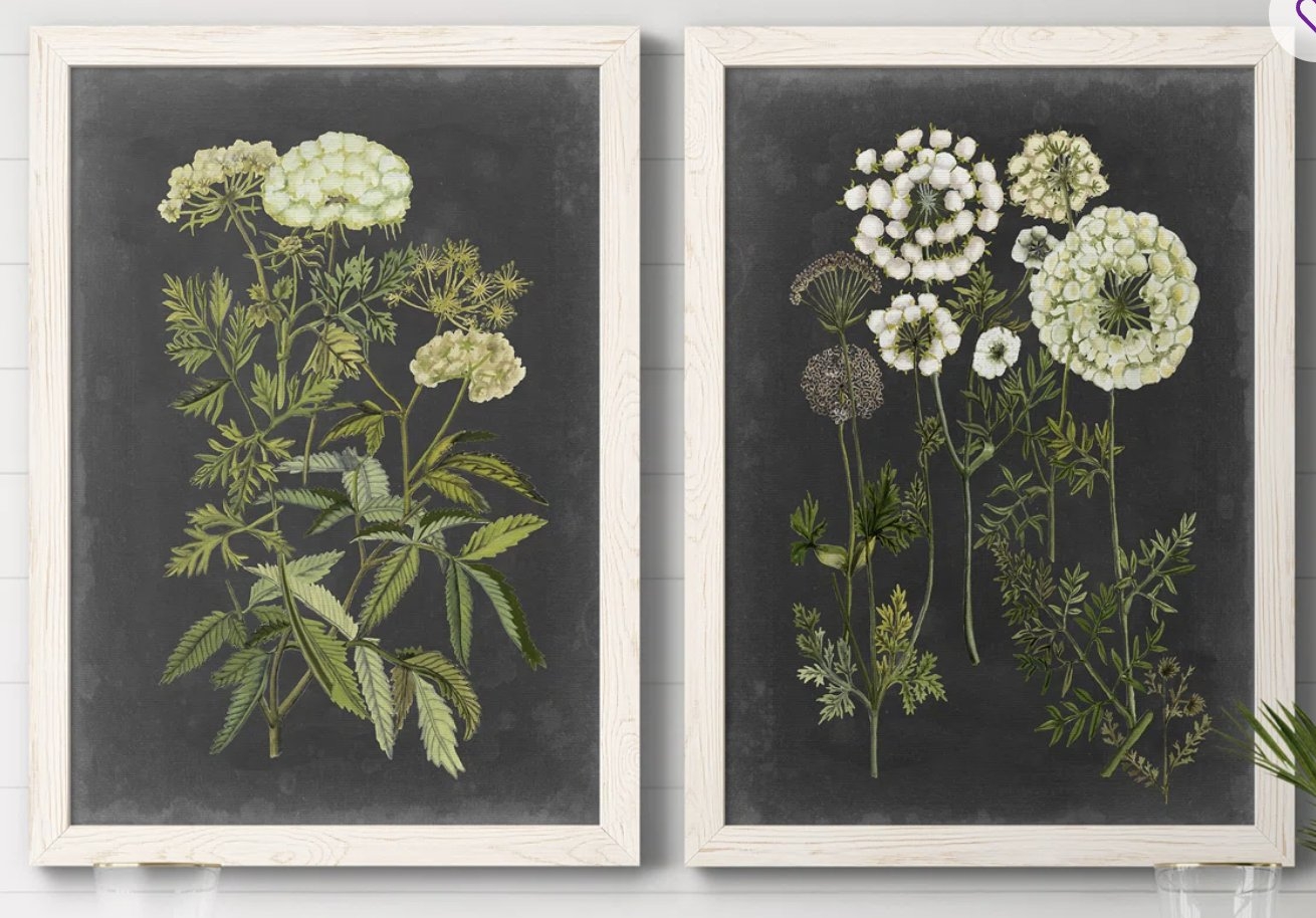 Bookplate Floral I Premium Framed Canvas - Ready To Hang - Image 1