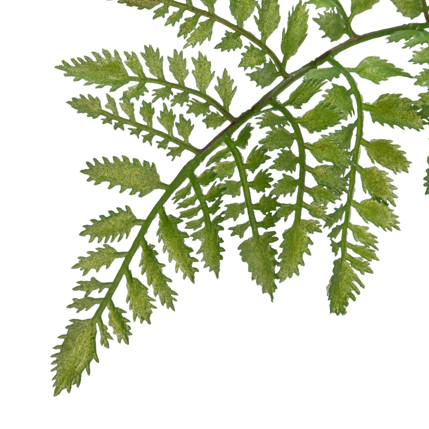 Faux Fern Tree in Plastic Pot, Green - Image 1