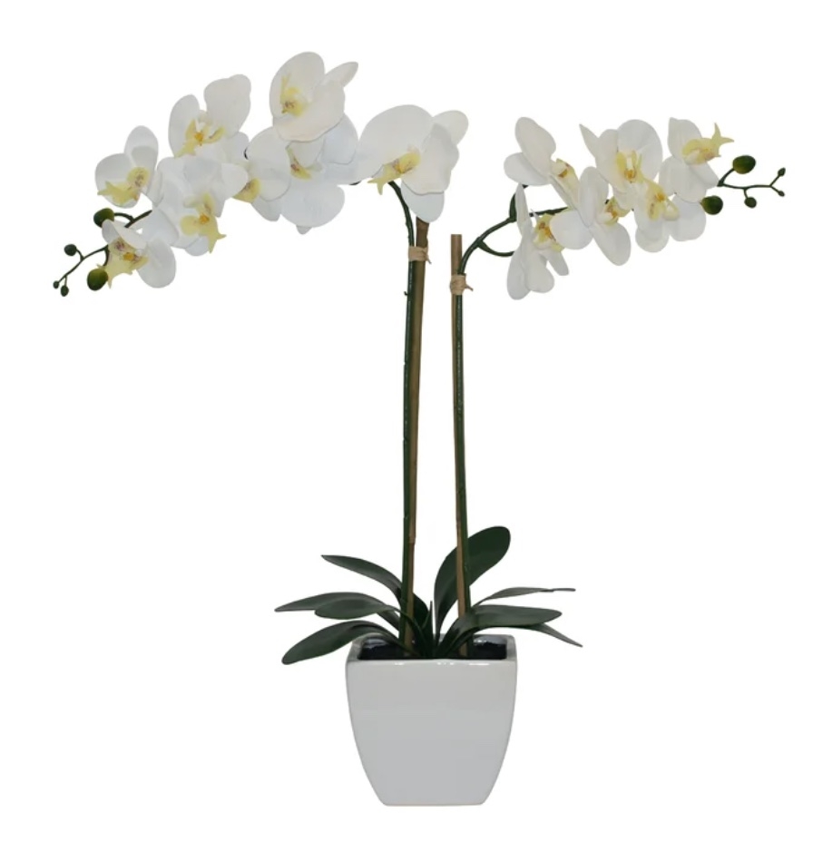 Orchids Floral Arrangements in Pot - Image 0