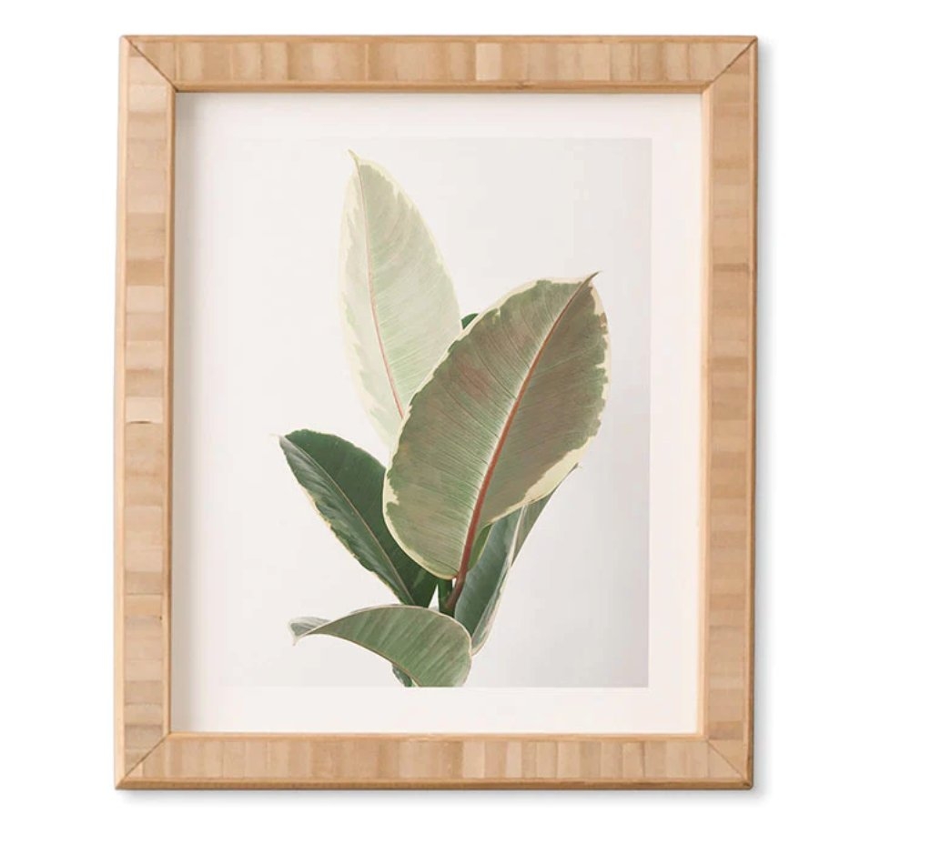 Ficus Tineke by Cassia Beck - Framed Wall Art Bamboo 11" x 13" - Image 0