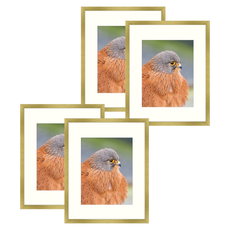 Dreketi Matte Gallery Wall Hanging Picture Frames (Set of 4) - Image 0