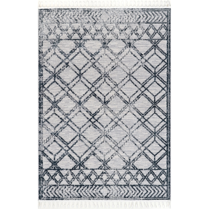 Ansley Shaggy Lattice Tassel Area Rug - Image 0