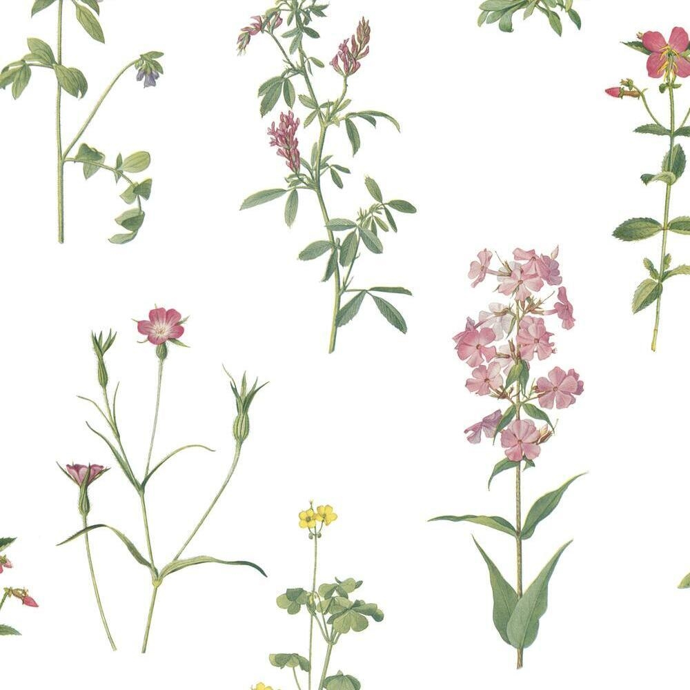 Botanical Peel and Stick Wallpaper - Image 0