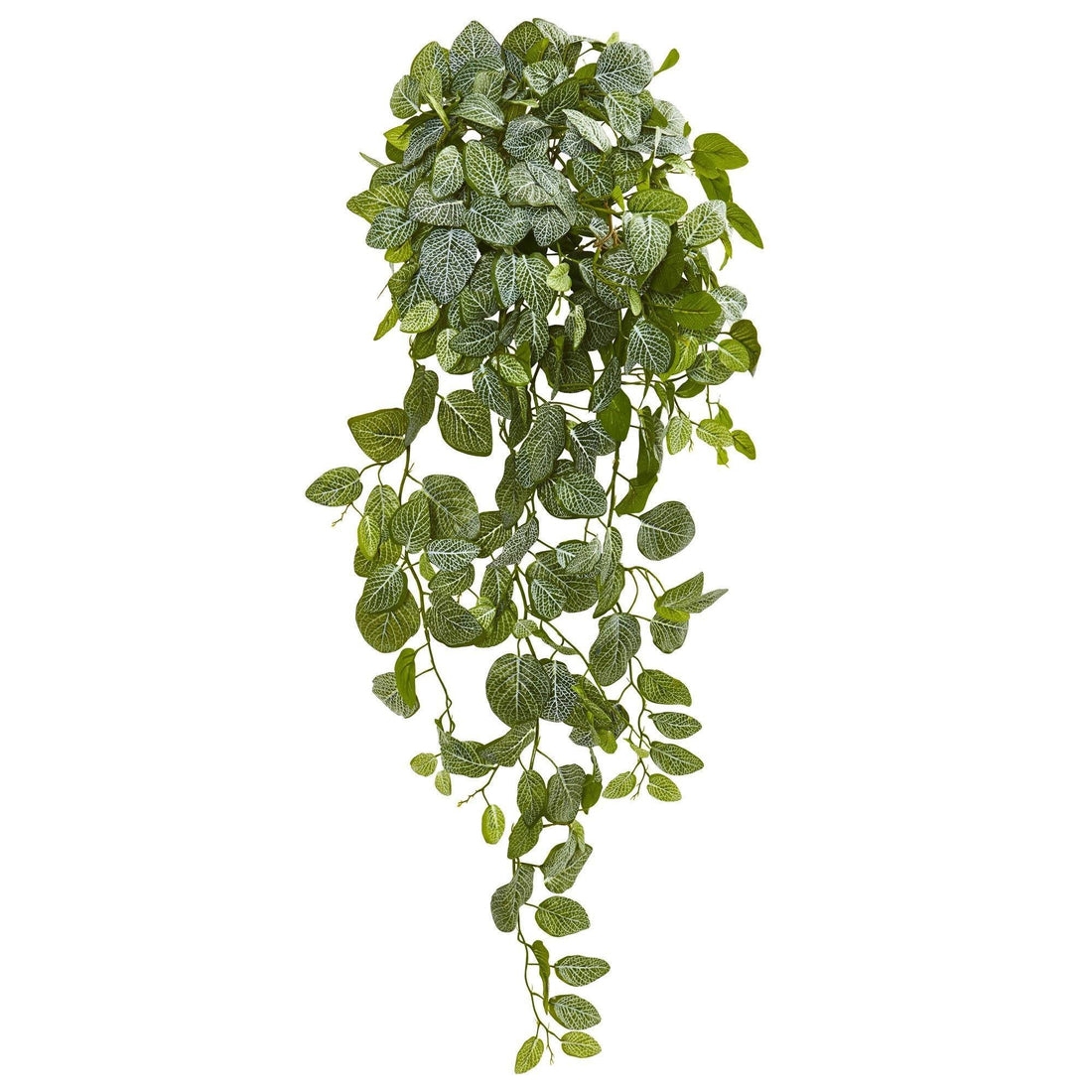 36” Summer Artificial Fittonia Hanging Bush Plant (Set of 2) - Image 0