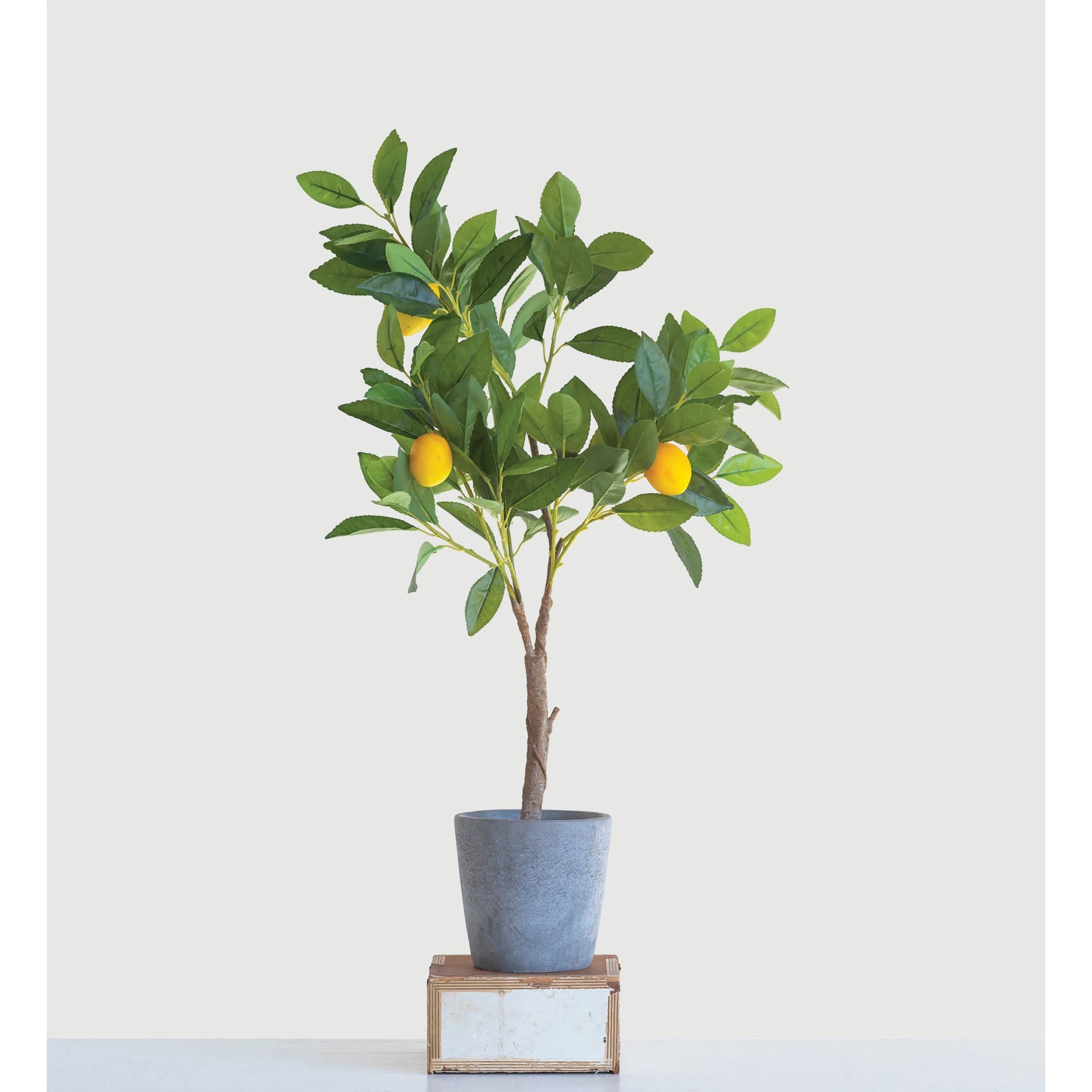 Faux Lemon Tree in Cement Pot - Image 1