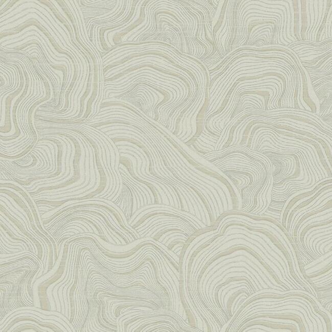 Geodes Wallpaper, Taupe, Double Roll - Image 0