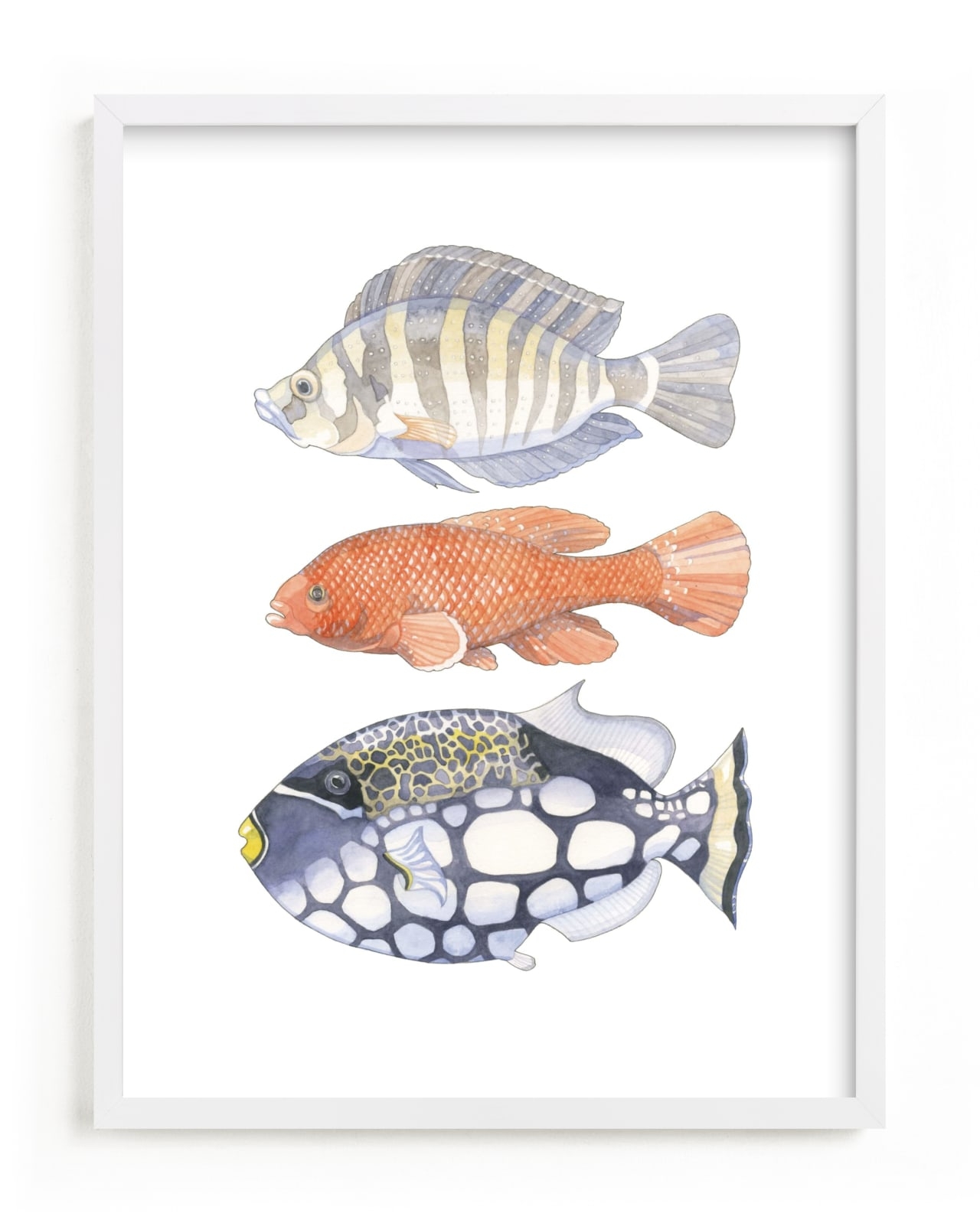 Three Fish Limited Edition Fine Art Print 1 - Image 0