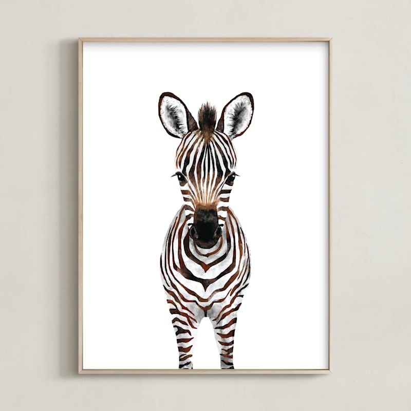 baby animal.zebra - Image 1