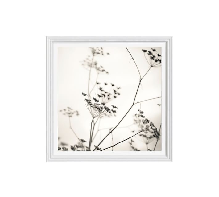 Nature's Drawing Framed Print - 25" x 25" - White frame - With mat - Image 0