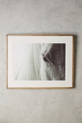 Quiet Horse Wall Art - 25.5''H, 33.5''W - Framed - Image 0