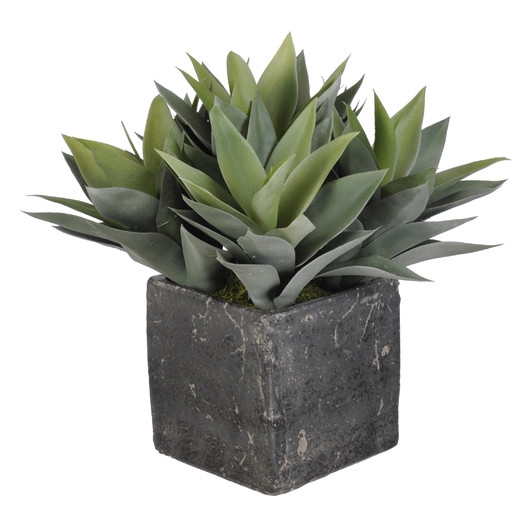 Artificial Succulents Desk Top Plant in Pot - Image 0