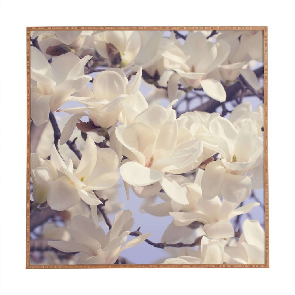 Asian magnolias 30x30 framed - Image 0