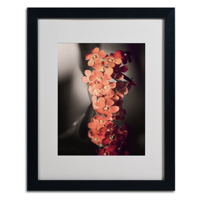 &#039;Soft Grey 2&#039; by Philippe Sainte-Laudy Framed Photographic Print- 20 x 16 - Image 0