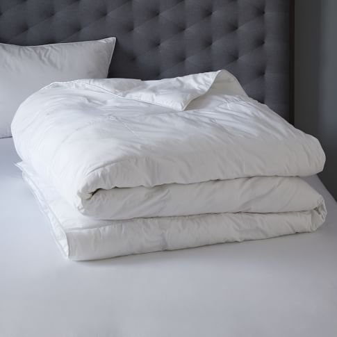 Euro Pillow Insert- Premium - Image 0