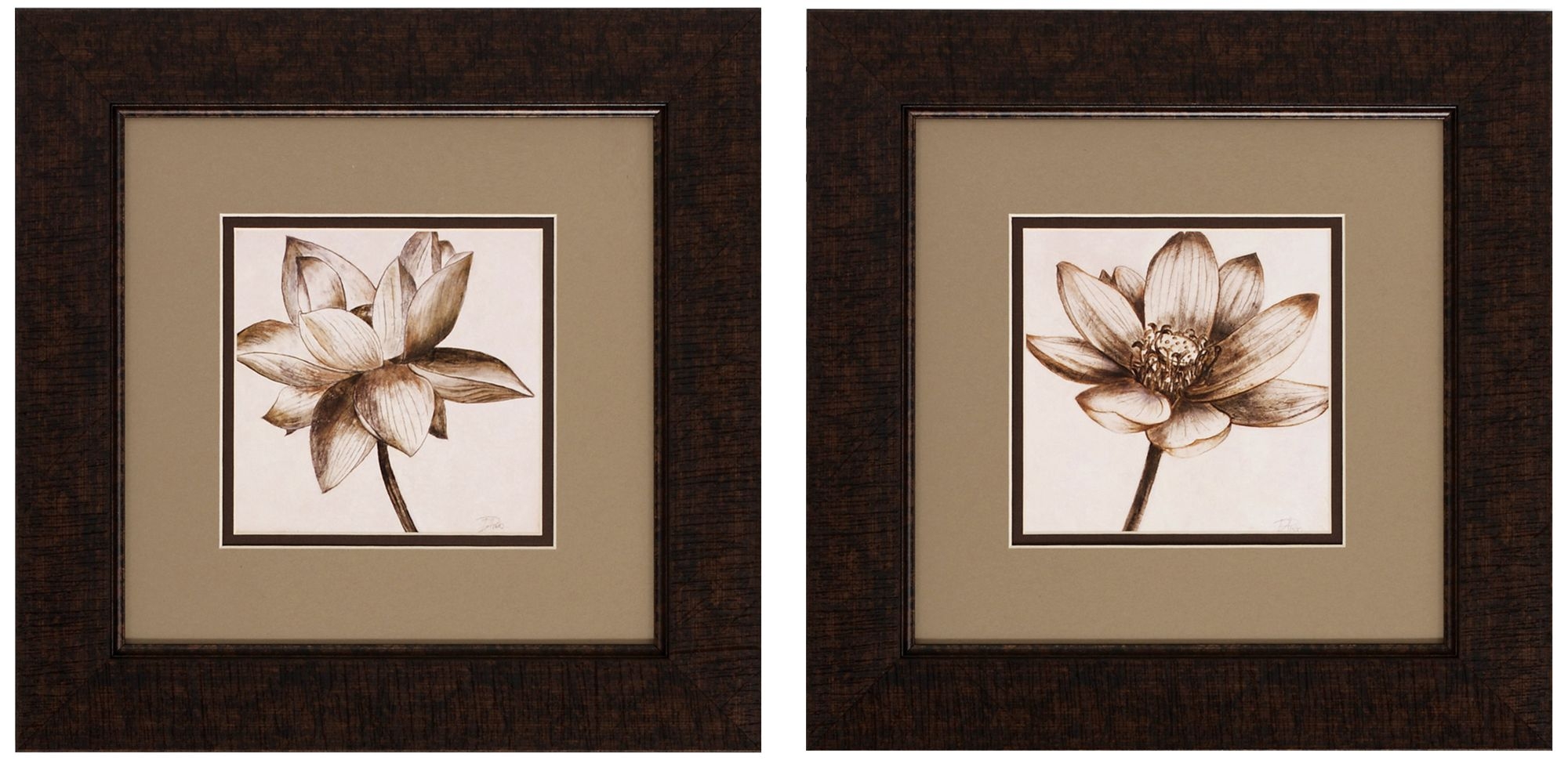 Sepia Lotus 14" High 2-Piece Wall Art Set-Framed - Image 0