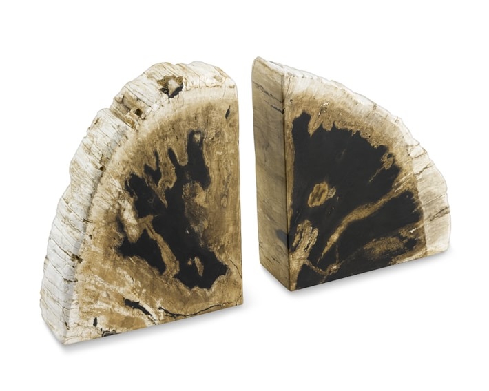 Petrified Wood Bookends - Image 0