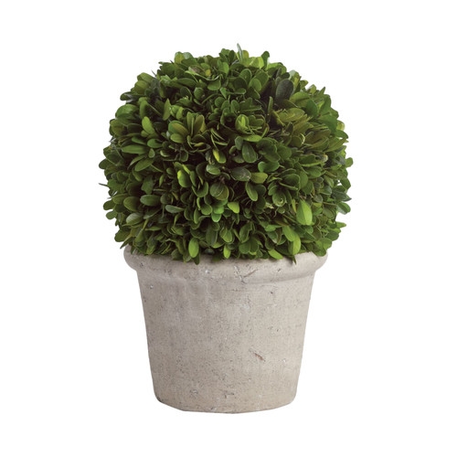 Preserved Greens Ball in Pot - Small - Image 0