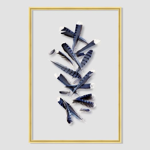Still Acrylic Wall Art - Blue Jay Feathers Falling -  24"w x 16"h.- Framed (Gold)- No mat - Image 0