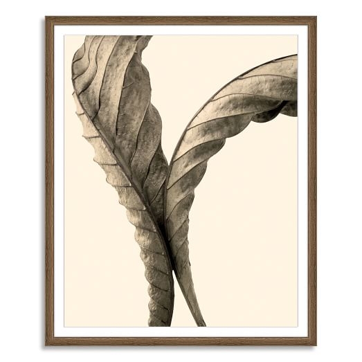 Offset for west elm Print - Autumn Chestnut by Jeff Friesen - Large, Mat (Framed) - Image 0