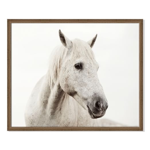 Framed Print - Horse II - Image 0