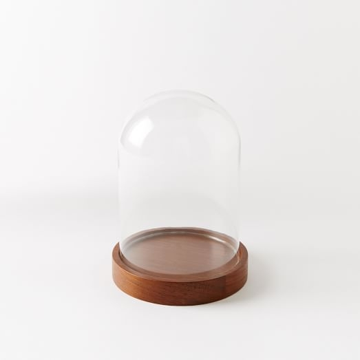 Wood + Glass Display Cloches-Small - Image 0