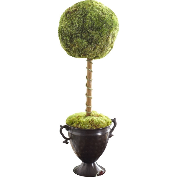 Latham Preserved Moss Single Topiary - Image 0