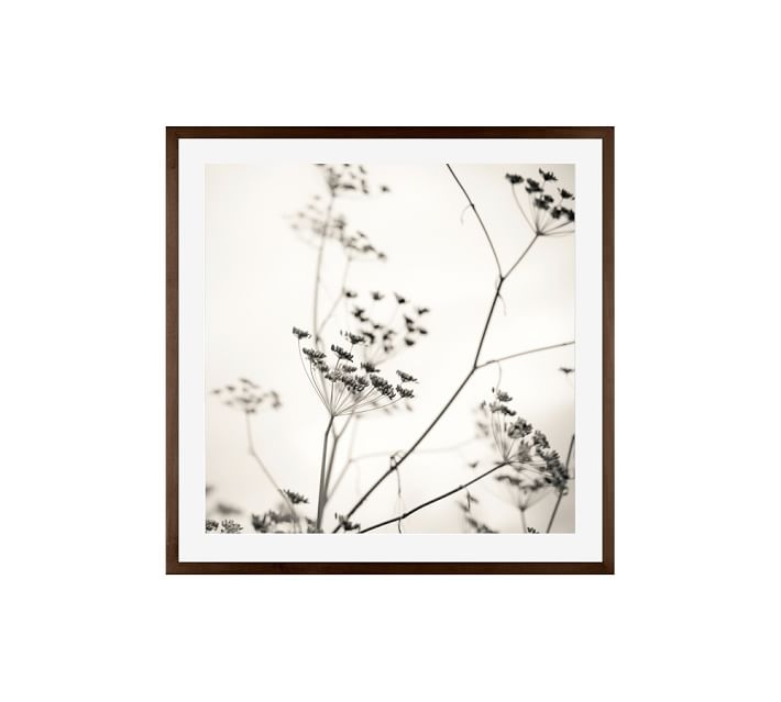 NATURE'S DRAWING FRAMED PRINT  - 25 X 25" - Image 0