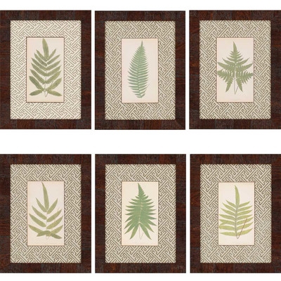 Ferns by Lowes 6 Piece Framed Graphic Art Set - Image 0