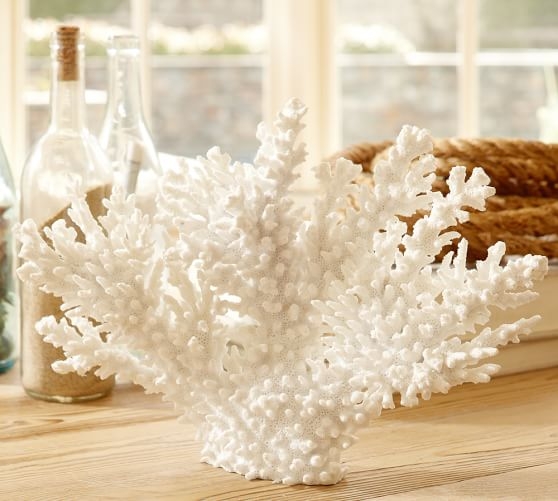 WHITE SPIKE CORAL - Image 0