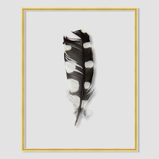 Still Acrylic Wall Art - Feathers - Woodpecker Feather - Image 0
