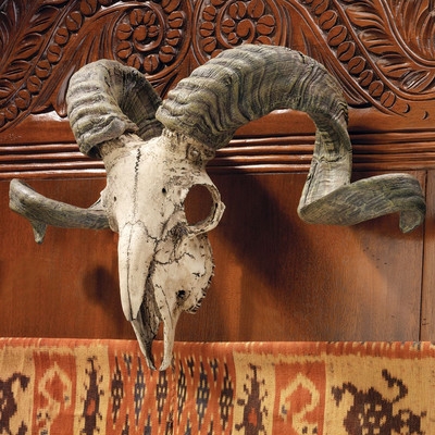 Corsican Ram Skull and Horns Trophy Wall DÃ©corby Design Toscano - Image 0
