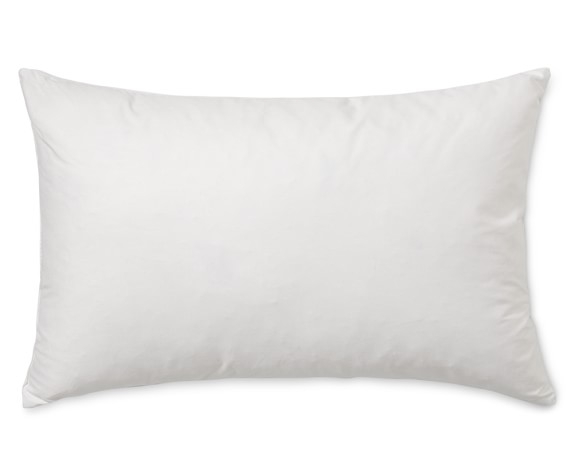 Williams-Sonoma Synthetic Decorative Pillow Insert - Image 0