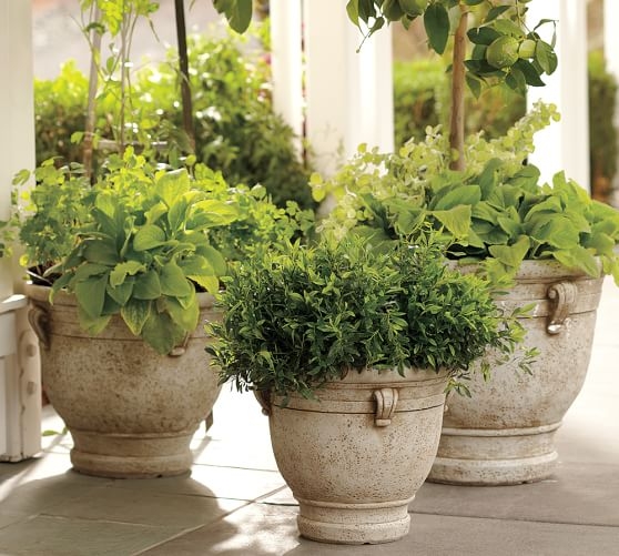 BRITTANY PLANTERS - Image 0