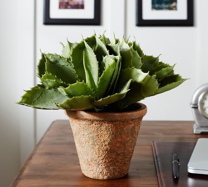 FAUX POTTED AGAVE SUCCULENT - Image 0