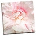 Power Puff Peony by Rebecca Swanson Photographic Print on Wrapped Canvas-Unframed - Image 0