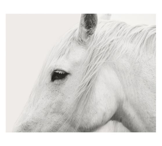 WHITE HORSE FRAMED PRINT BY JENNIFER MEYERS - Image 0