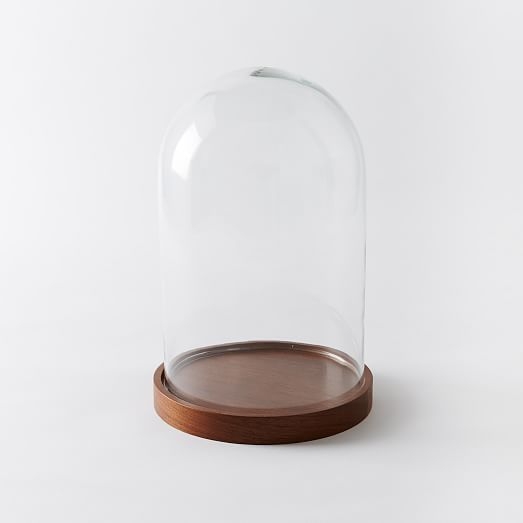 Wood + Glass Display Cloches-Large - Image 0