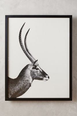 Antelope Sentry Wall Art - 57.5''H, 45.5''W - Framed - Image 0